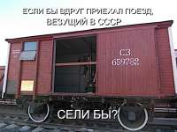 1200x901