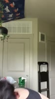 576x1024