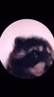 360x640