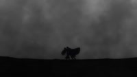 1920x1080