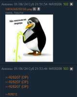323x404