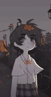 344x646