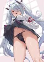 1003x1416