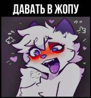 1080x1158