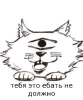 300x360