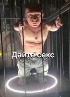 480x656