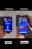 480x724