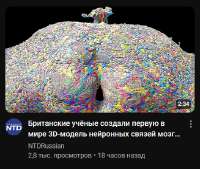 527x447