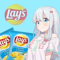 736x736