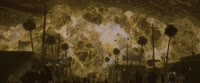 1920x804