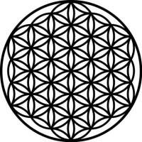 430x430