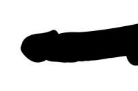 450x299