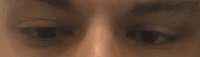 652x188