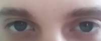 1078x442