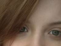 338x254