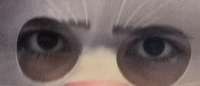721x313