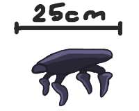 475x381