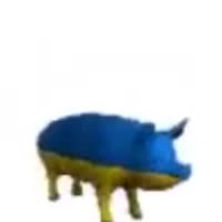 720x720