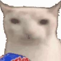 320x320