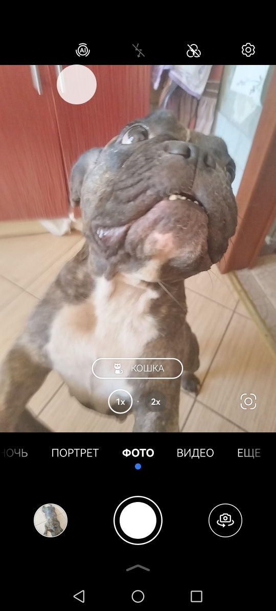 540x1194