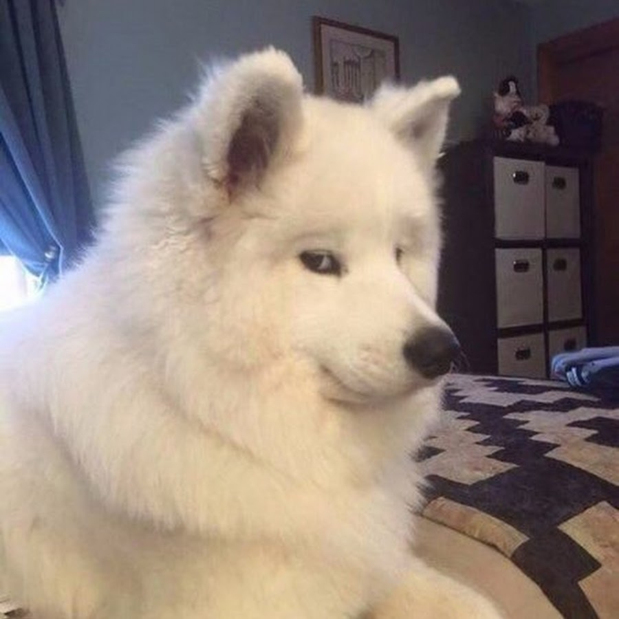 900x900
