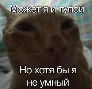 1280x1240