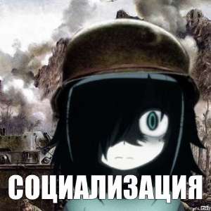 736x736