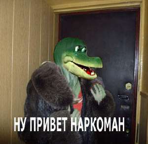 356x347