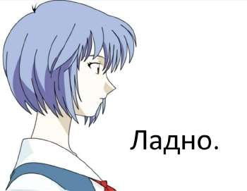 736x571