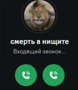 736x849