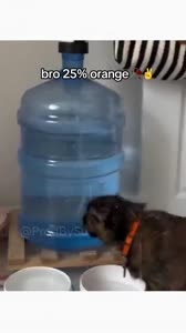 360x640