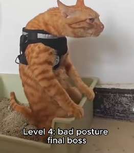 452x517