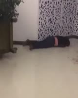 288x360