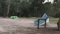 460x258