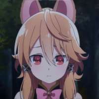 736x736