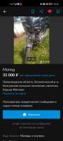 720x1600