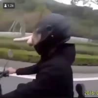 360x360