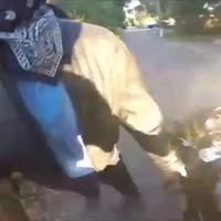 360x360