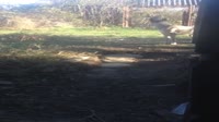 480x270