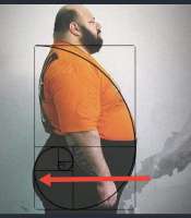 972x1105