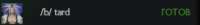 247x31