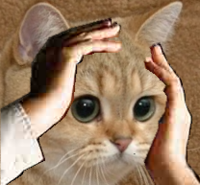 72