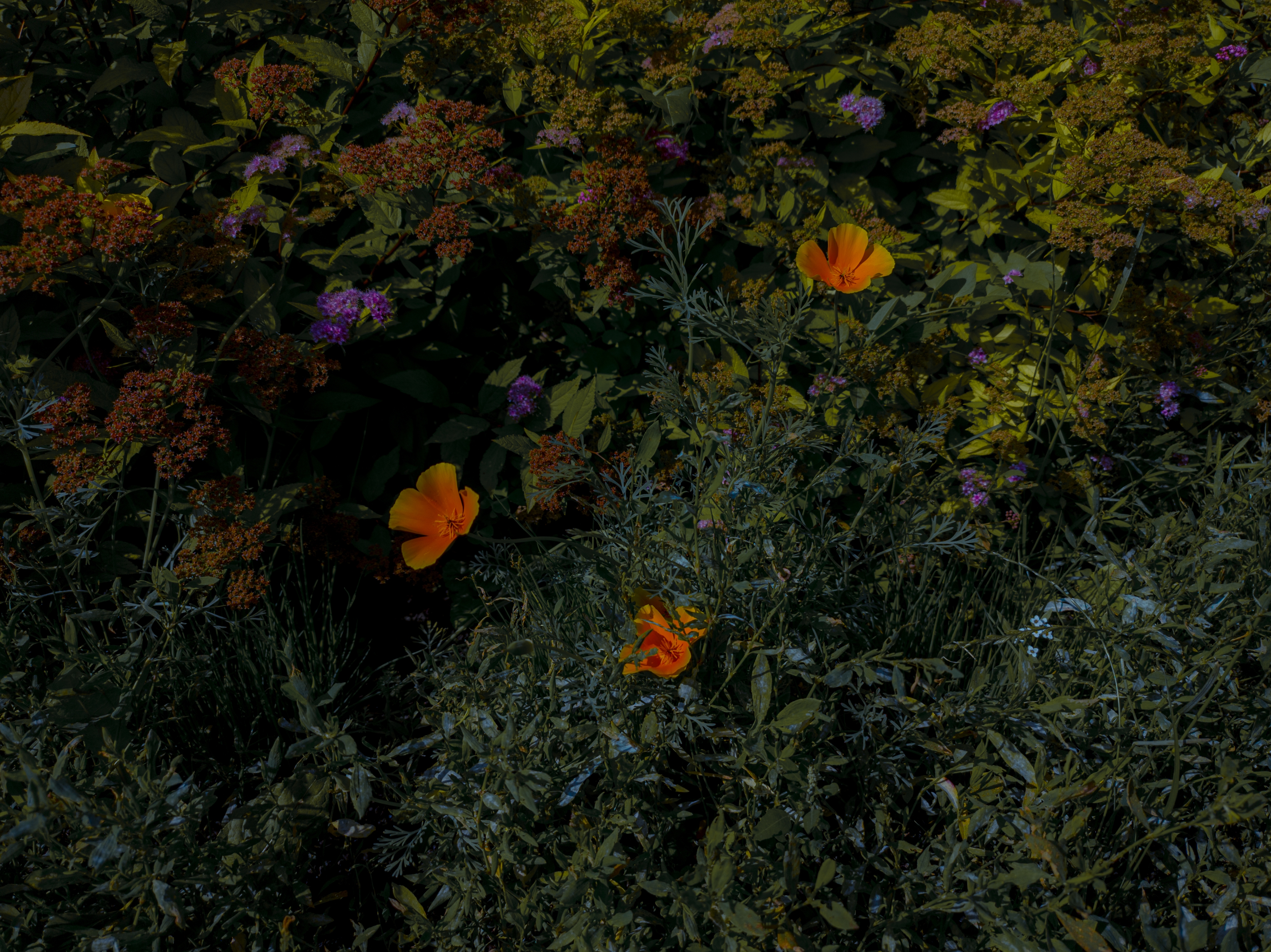 3984x2984