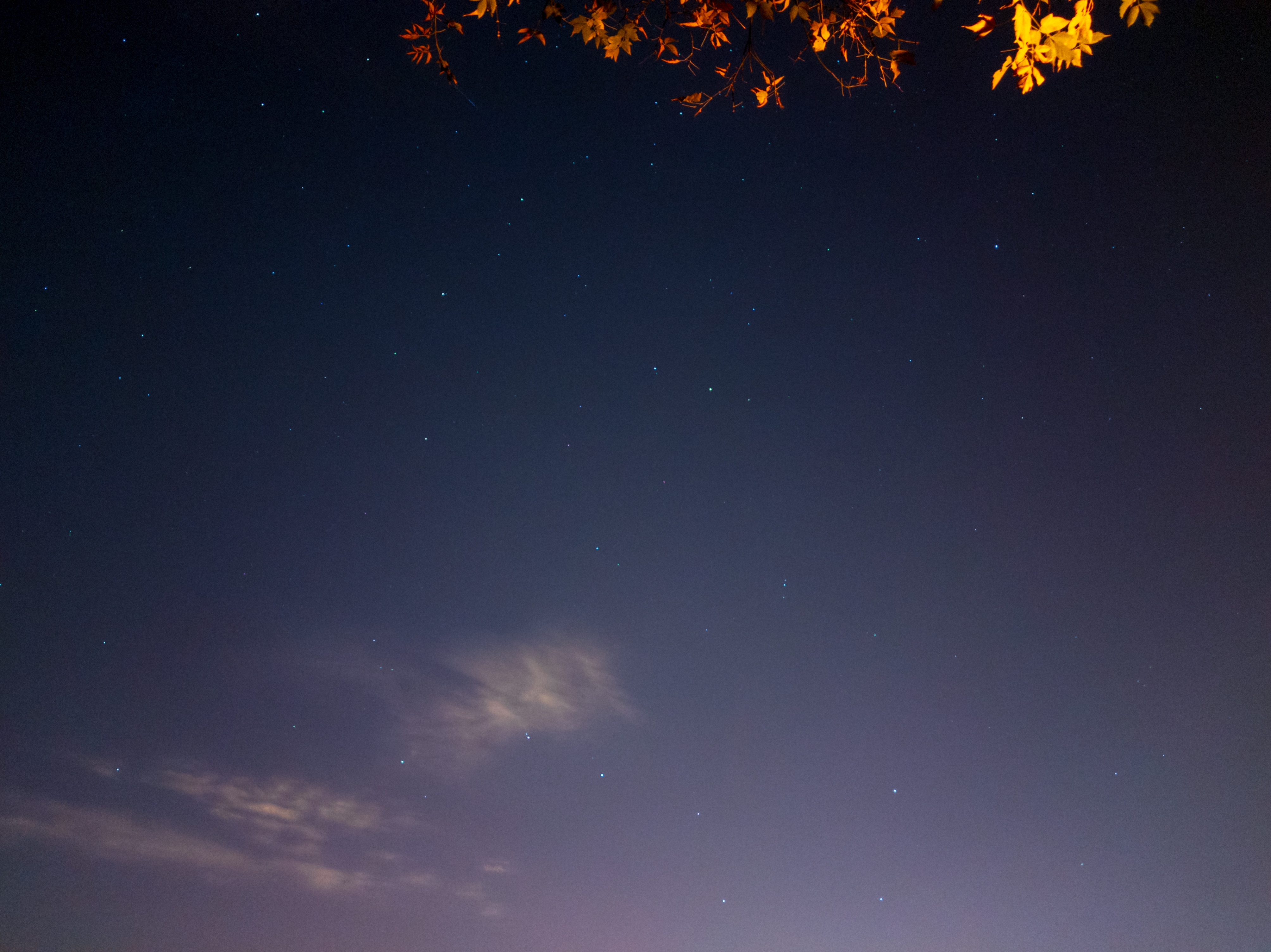 4016x3008