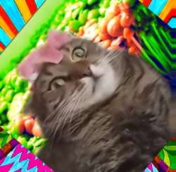 368x360