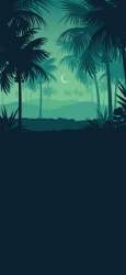 1080x2340