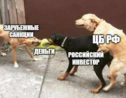 611x479
