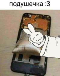 721x900