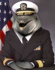 367