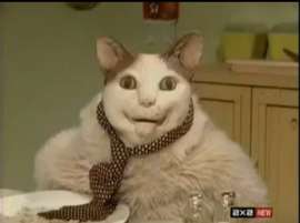 40